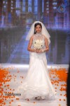 Celebs Walks the Ramp at IIJW 2014 Set 1 - 204 of 235