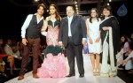Celebs Walks the Ramp at IIJW 2014 Set 1 - 217 of 235