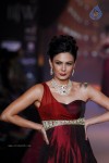 Celebs Walks the Ramp at IIJW 2014 Set 1 - 219 of 235