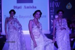Celebs Walks the Ramp at IIJW 2014 Set 1 - 221 of 235