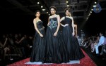 Celebs Walks the Ramp at IIJW 2014 Set 1 - 228 of 235