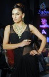Celebs Walks the Ramp at IIJW 2014 Set 1 - 229 of 235