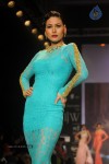 Celebs Walks the Ramp at IIJW 2014 Set 2 - 27 of 235