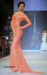 Celebs Walks the Ramp at IIJW 2014 Set 2 - 29 of 235