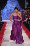 Celebs Walks the Ramp at IIJW 2014 Set 2 - 35 of 235