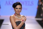 Celebs Walks the Ramp at IIJW 2014 Set 2 - 42 of 235
