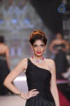 Celebs Walks the Ramp at IIJW 2014 Set 2 - 38 of 235