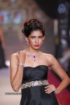 Celebs Walks the Ramp at IIJW 2014 Set 2 - 49 of 235