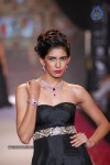 Celebs Walks the Ramp at IIJW 2014 Set 2 - 49 of 235