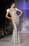 Celebs Walks the Ramp at IIJW 2014 Set 2 - 64 of 235