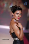 Celebs Walks the Ramp at IIJW 2014 Set 2 - 66 of 235