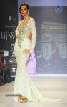 Celebs Walks the Ramp at IIJW 2014 Set 2 - 160 of 235