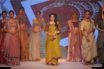 Celebs Walks the Ramp at IIJW 2014 Set 2 - 188 of 235