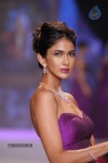 Celebs Walks the Ramp at IIJW 2014 Set 2 - 211 of 235