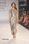 Celebs Walks the Ramp at LFW 2014 Day 2 - 47 of 113