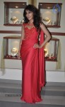 Chitrangada Singh Launches Femina Bridal Cover - 19 of 53