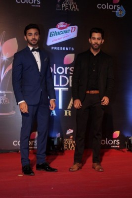 Colors Golden Petal Awards 2017 Red Carpet - 28 of 60