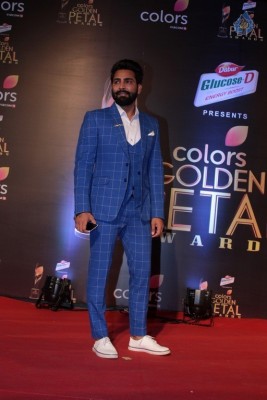 Colors Golden Petal Awards 2017 Red Carpet - 31 of 60