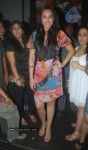 Dabangg Success Party at Vie Lounge Photos - 33 of 73