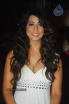 Dabangg Success Party at Vie Lounge Photos - 41 of 73