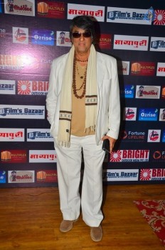 Dadasaheb Phalke Film Foundation Awards 2016 - 12 of 42