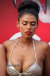 Deepika n Siddharth with Kingfisher Calendar Babes - 59 of 60