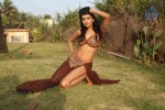 Designer Umair Zafar Spicy Collection Photoshoot - 33 of 134