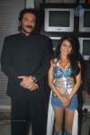 Dharna Unlimited Movie Item Song Shooting Spot - 1 of 36