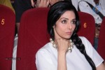 English Vinglish Movie First Look Launch - 76 of 76