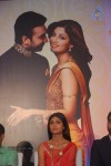 Announcement of Goa Wedding Show 2014 - 26 of 62