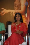 Announcement of Goa Wedding Show 2014 - 59 of 62