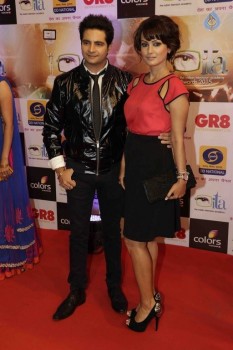 GR8 Indian Television Awards 2015 - 22 of 28