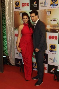 GR8 Indian Television Awards 2015 - 28 of 28
