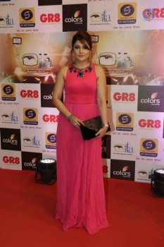 GR8 Indian Television Awards 2015 - 41 of 28