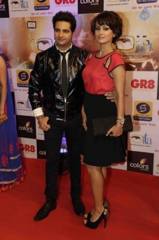 GR8 Indian Television Awards 2015 - 22 of 28