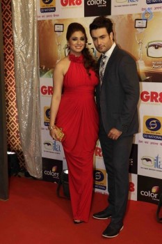 GR8 Indian Television Awards 2015 - 28 of 28