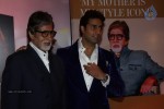 Hot Bolly Celebs at Hindustan Times Style Awards - 97 of 149