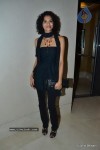 Hot Bolly Celebs at Mijwan Show - 10 of 152