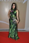 Hot Bolly Celebs at Sahara IPL Awards 2010 Ceremony - 56 of 62