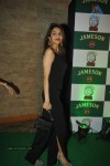 Hot Bolly Celebs at The DISS Short Films Screening - 4 of 47