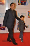 Hot Bolly Celebs at ZEE CINE AWARDS 2013 - 24 of 88