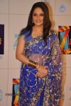 Hot Bolly Celebs at ZEE CINE AWARDS 2013 - 30 of 88