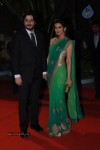 Hot Bolly Celebs at ZEE CINE AWARDS 2013 - 39 of 88