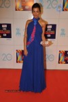 Hot Bolly Celebs at ZEE CINE AWARDS 2013 - 66 of 88