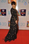Hot Bolly Celebs at ZEE CINE AWARDS 2013 - 67 of 88