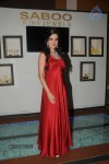 Bolly Celebs Walks the Ramp at IIJW 2014 - 34 of 152