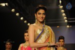 Bolly Celebs Walks the Ramp at IIJW 2014 - 72 of 152