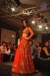 Hot Bolly Celebs Walks the Ramp at LFW 2014 - 86 of 187