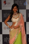 Hot Celebs at IIJW 2012 Show - 10 of 238