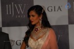 Hot Celebs at IIJW 2012 Show - 14 of 238